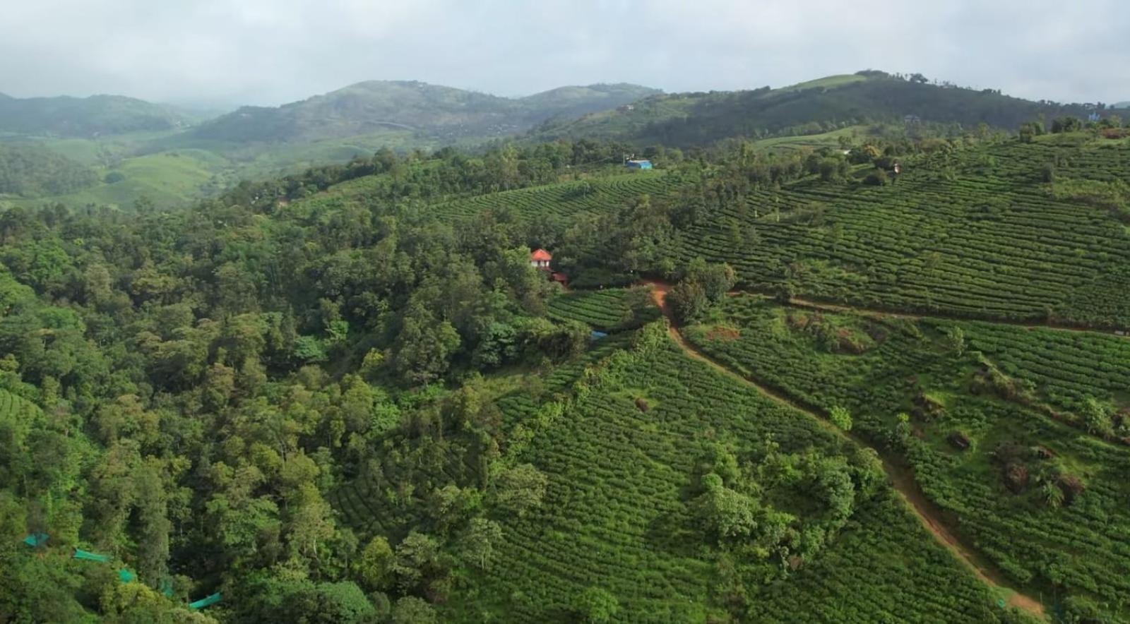 Tea Haven By Yathroam Guest House Vagamon Exterior photo